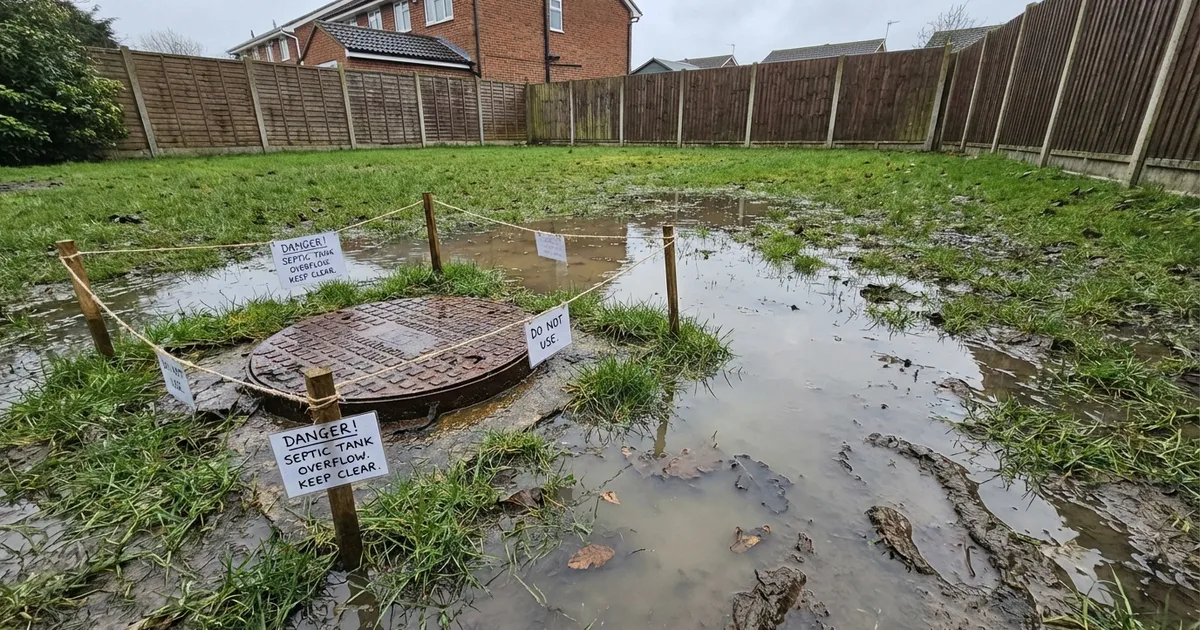 Waterlogged garden lawn with standing water near a septic tank manhole cover in a UK garden